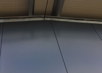 vogelwering Maasbracht